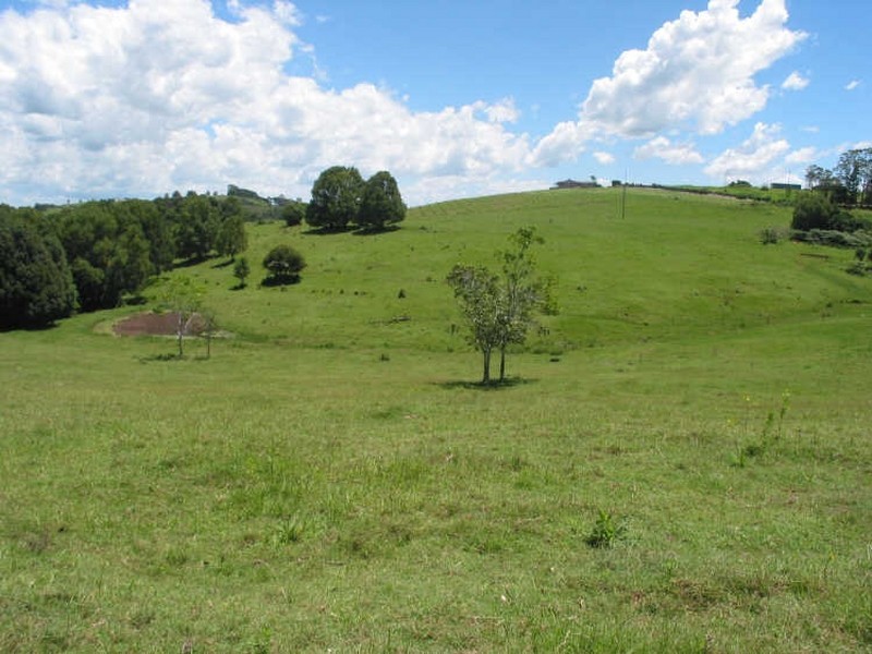 231. Fernleigh Road, Fernleigh NSW 2479