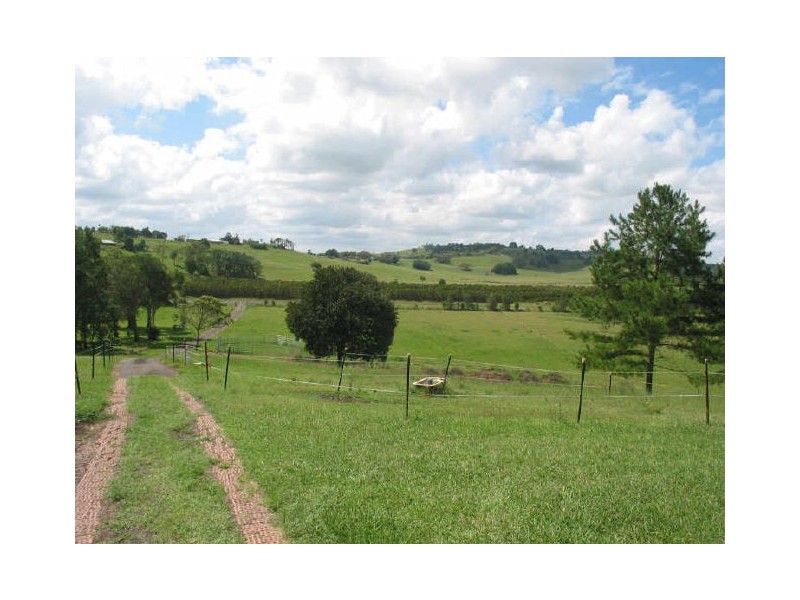 21 Eltham Road, Eltham NSW 2480