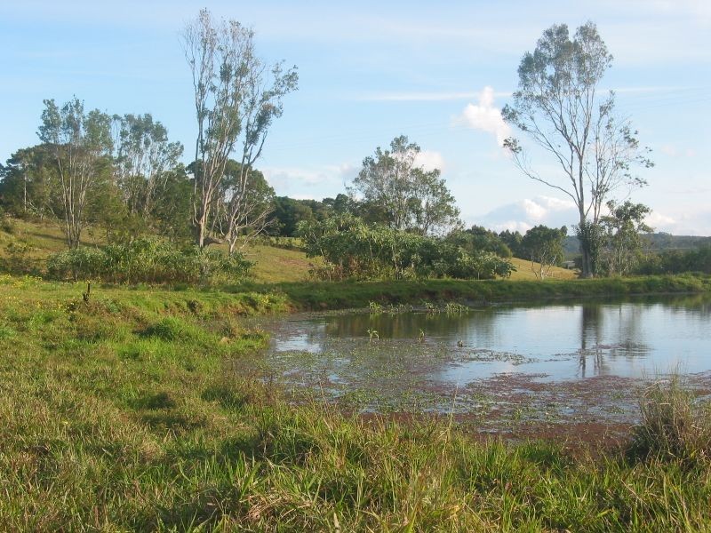 231 Fernleigh Road, Fernleigh NSW 2479