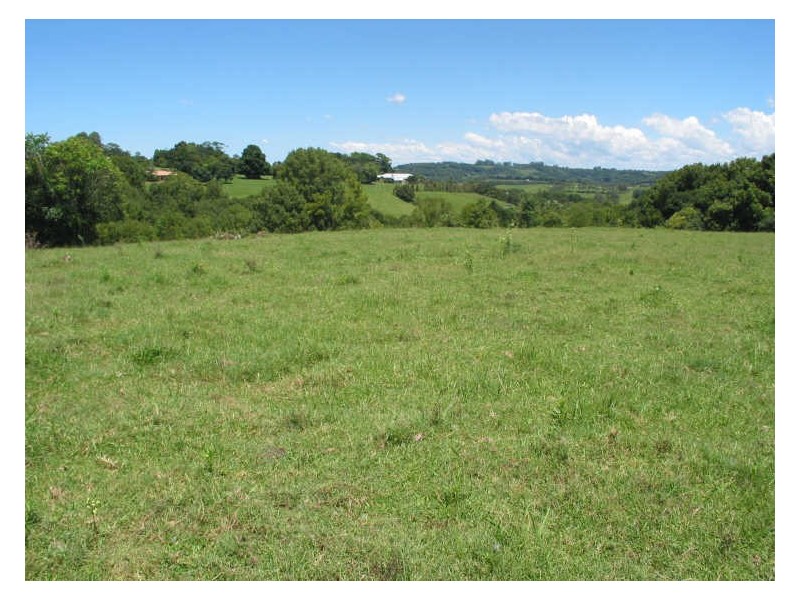 231 Fernleigh Road, Fernleigh NSW 2479