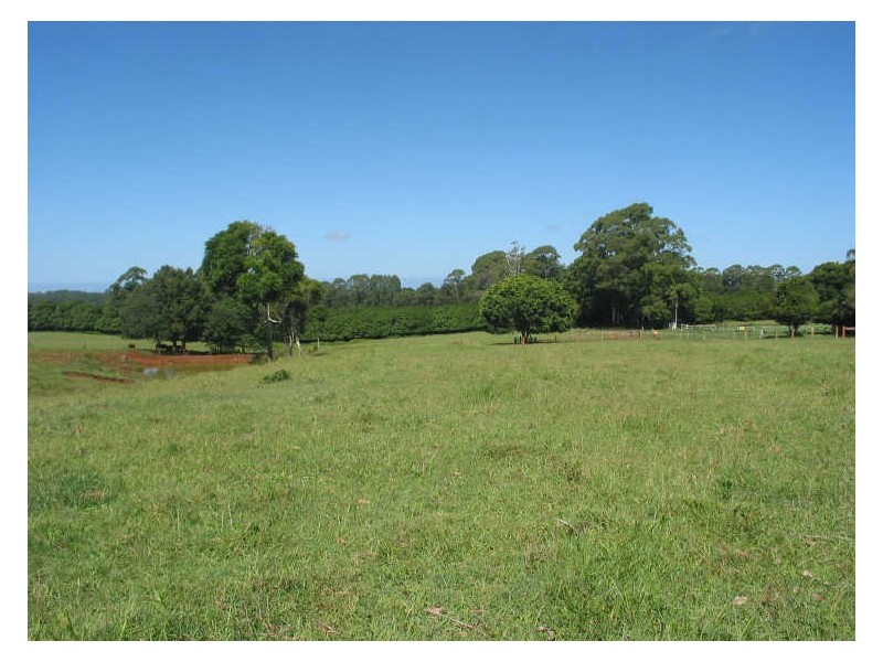 231 Fernleigh Road, Fernleigh NSW 2479