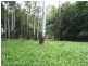 575. Bagotville Road, Meerschaum Vale NSW 2477