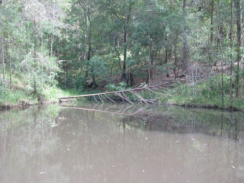 575. Bagotville Road, Meerschaum Vale NSW 2477