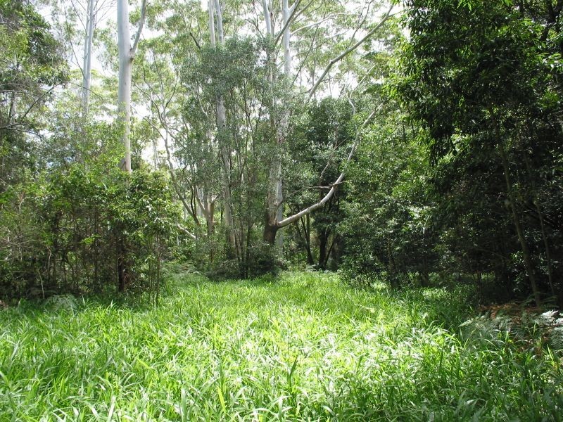 575. Bagotville Road, Meerschaum Vale NSW 2477