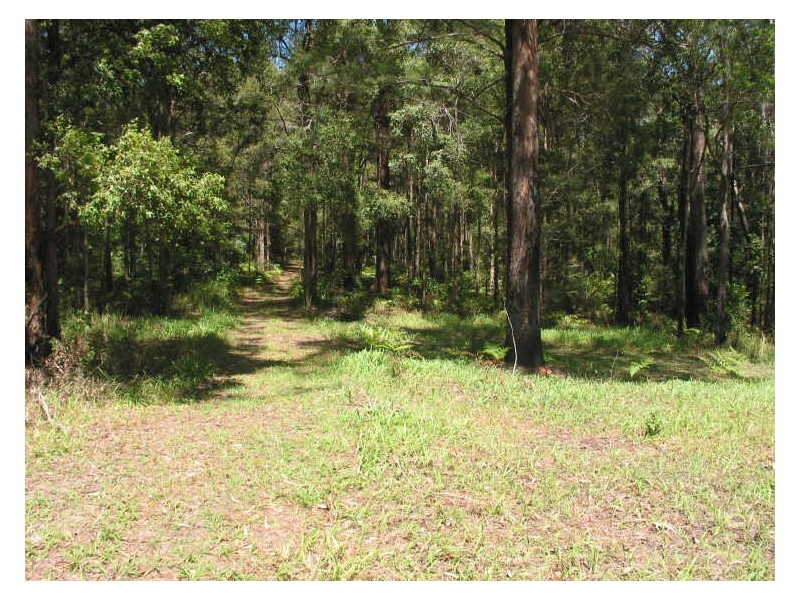 575. Bagotville Road, Meerschaum Vale NSW 2477