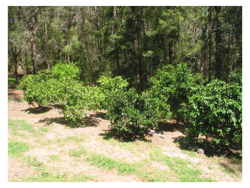 575. Bagotville Road, Meerschaum Vale NSW 2477