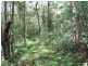 575. Bagotville Road, Meerschaum Vale NSW 2477