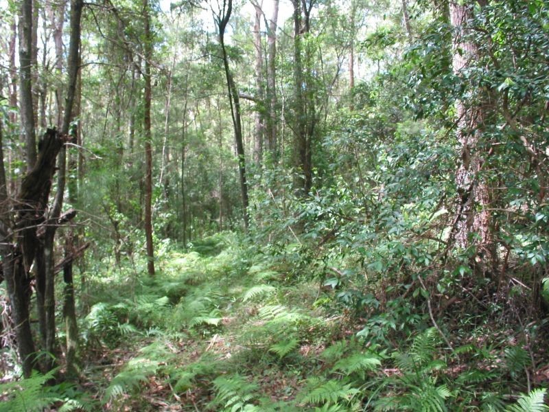 575. Bagotville Road, Meerschaum Vale NSW 2477