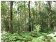 575. Bagotville Road, Meerschaum Vale NSW 2477