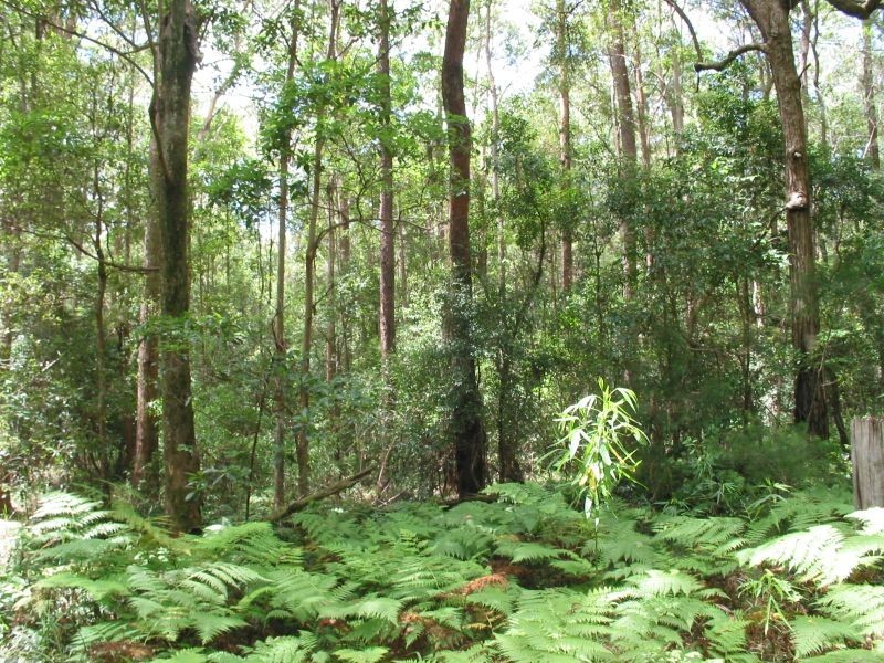 575. Bagotville Road, Meerschaum Vale NSW 2477
