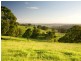 550. Tregeagle Road, Tregeagle NSW 2480