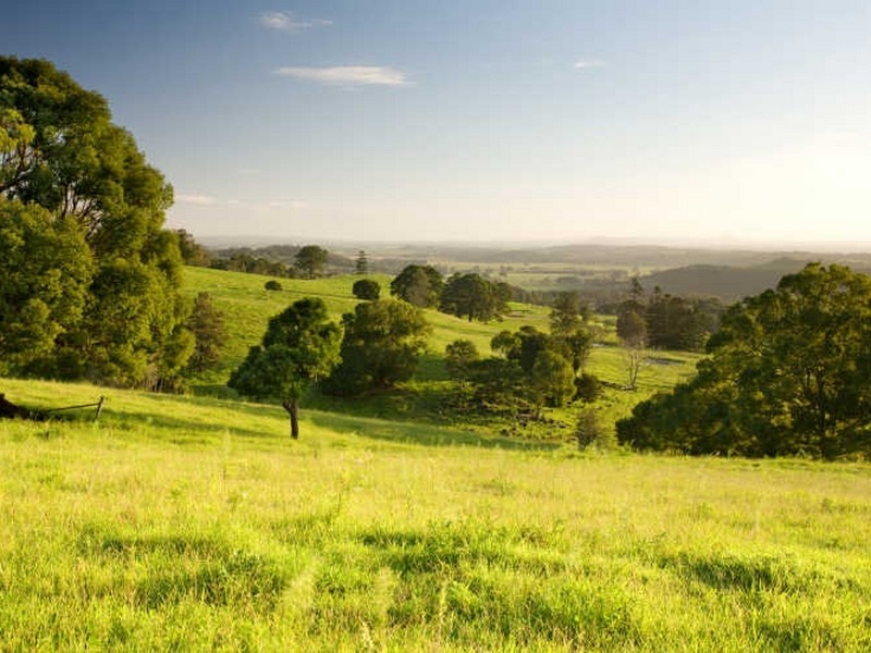 550. Tregeagle Road, Tregeagle NSW 2480
