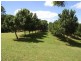 183 Cowlong Road, Mcleans Ridges NSW 2480