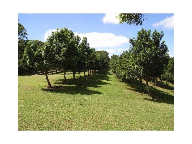183 Cowlong Road, Mcleans Ridges NSW 2480