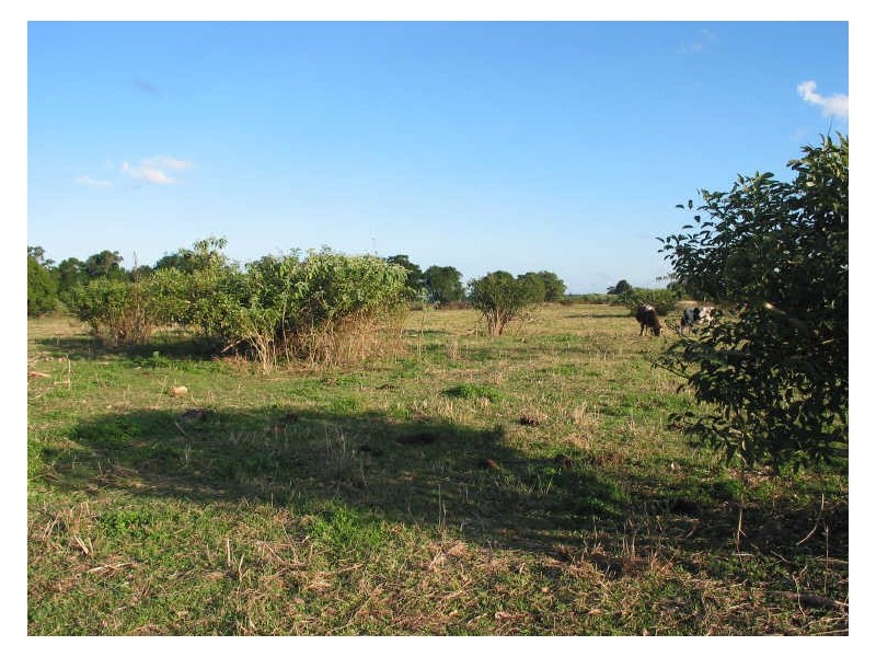 Lot 3 Marom Creek Road, Marom Creek NSW 2480