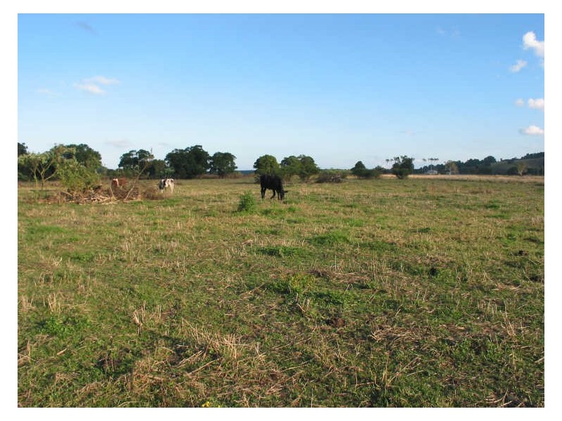 Lot 3 Marom Creek Road, Marom Creek NSW 2480