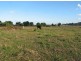 Lot 3. Marom Creek Road, Marom Creek NSW 2480