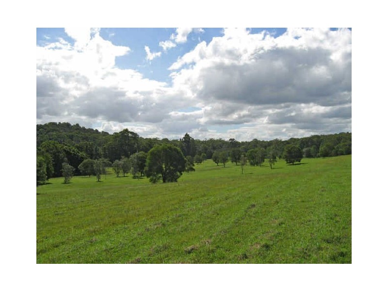 771 Bagotville Road, Meerschaum Vale NSW 2477