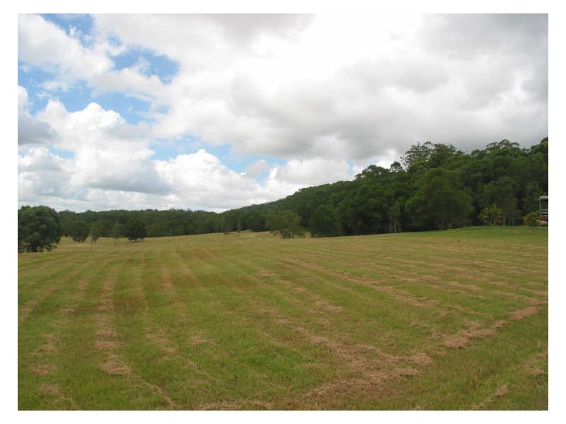771 Bagotville Road, Meerschaum Vale NSW 2477