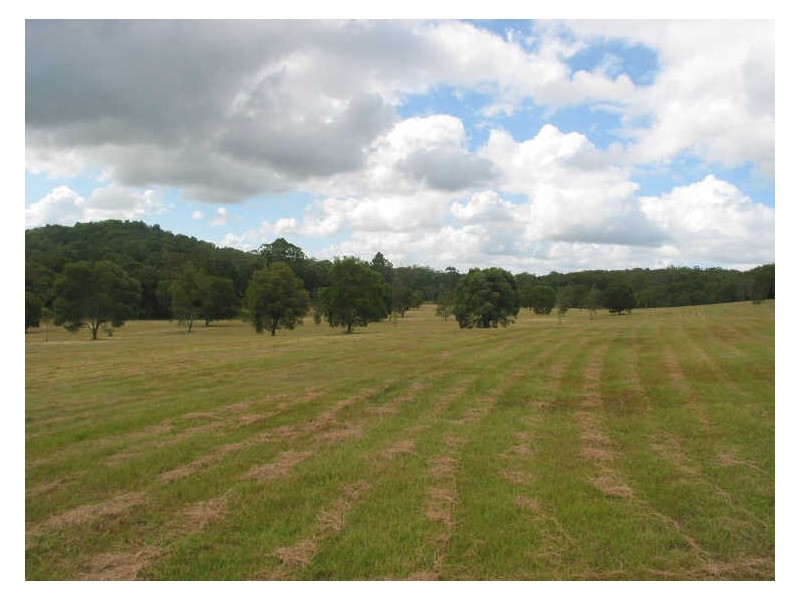 771 Bagotville Road, Meerschaum Vale NSW 2477
