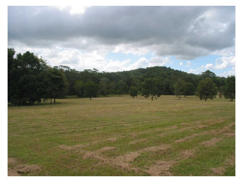 771 Bagotville Road, Meerschaum Vale NSW 2477