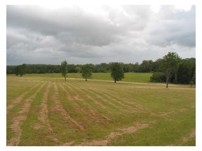 771 Bagotville Road, Meerschaum Vale NSW 2477
