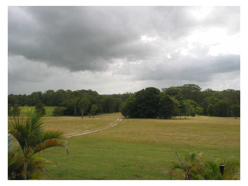 771 Bagotville Road, Meerschaum Vale NSW 2477