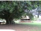 771 Bagotville Road, Meerschaum Vale NSW 2477