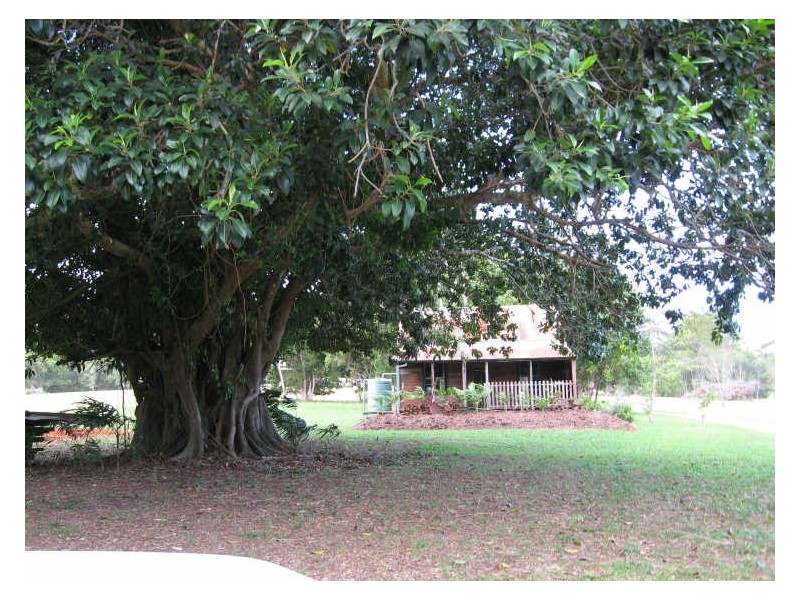 771 Bagotville Road, Meerschaum Vale NSW 2477