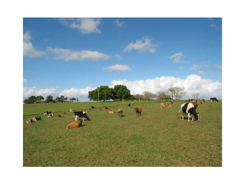 140 Buckombil Lane, Meerschaum Vale NSW 2477