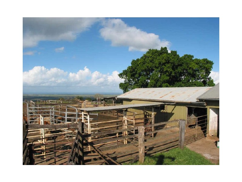 140 Buckombil Lane, Meerschaum Vale NSW 2477