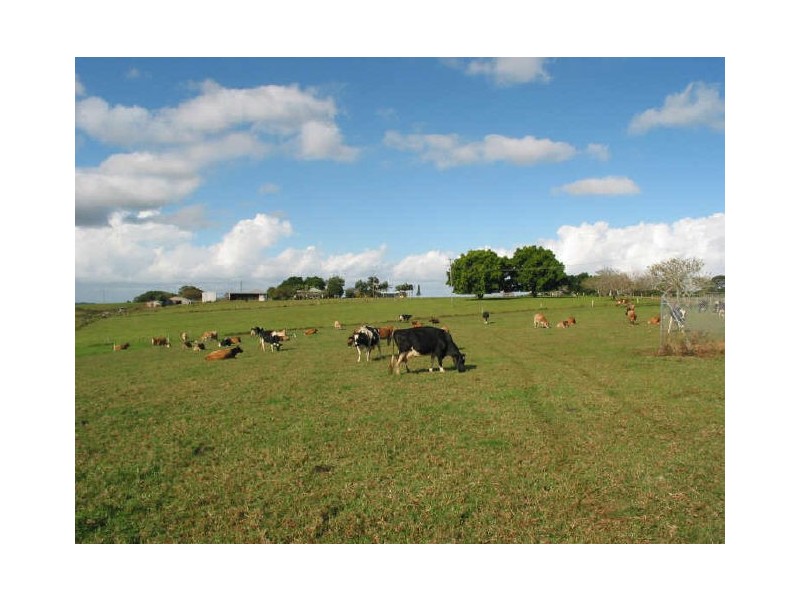 140 Buckombil Lane, Meerschaum Vale NSW 2477