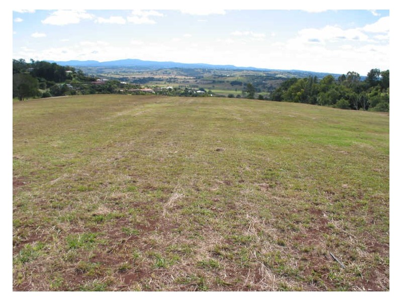 Livotto Drive, Richmond Hill NSW 2480