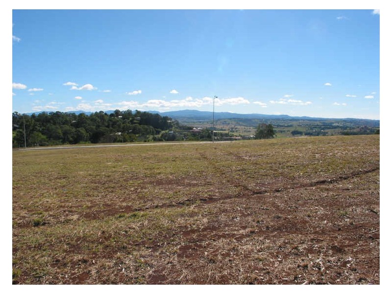 Livotto Drive, Richmond Hill NSW 2480