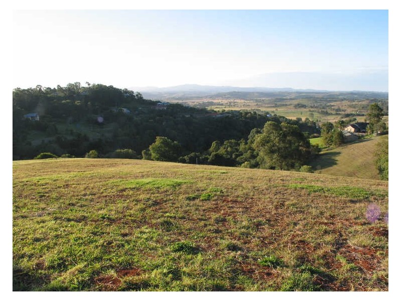 Livotto Drive, Richmond Hill NSW 2480