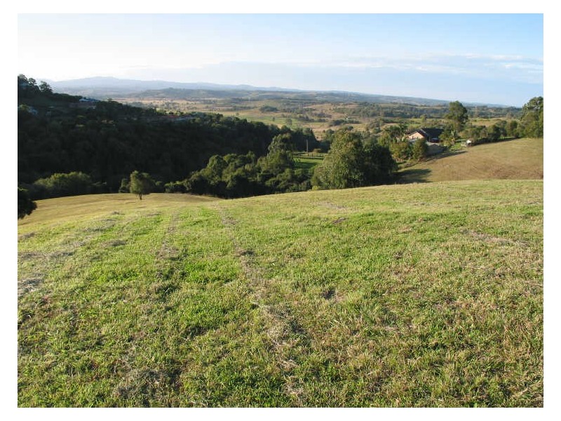 Livotto Drive, Richmond Hill NSW 2480