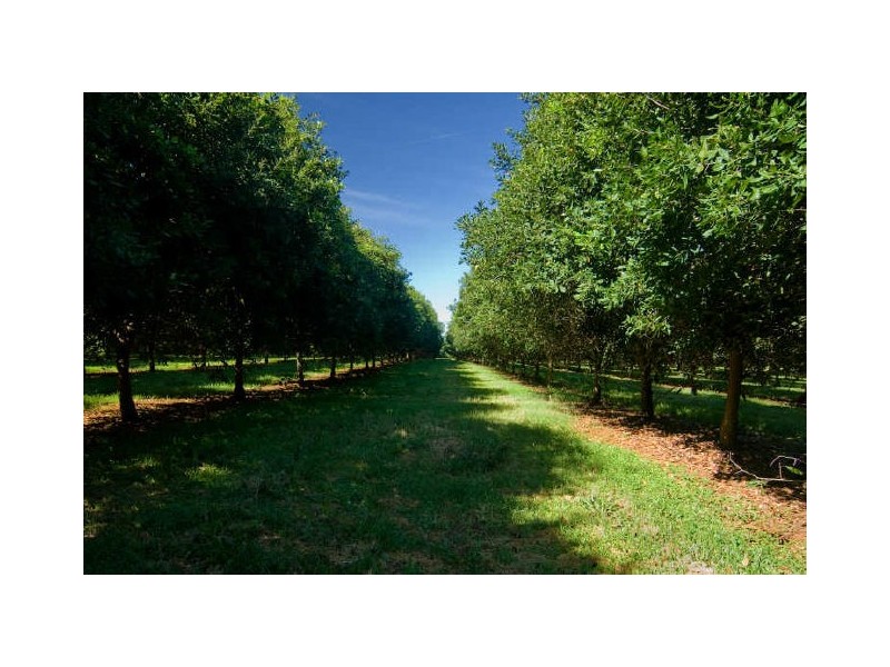 484. Gap Road, Alstonville NSW 2477