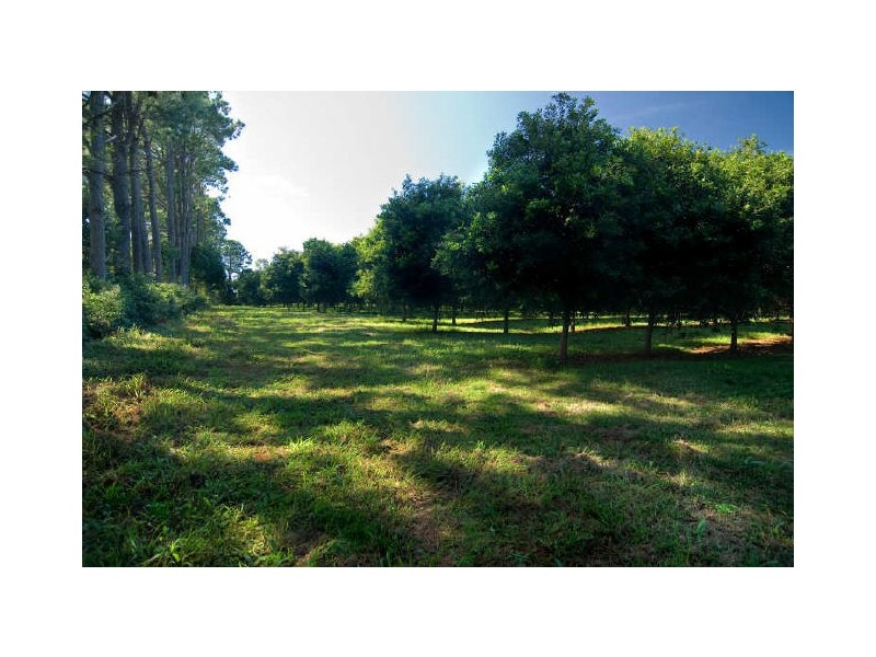 484. Gap Road, Alstonville NSW 2477