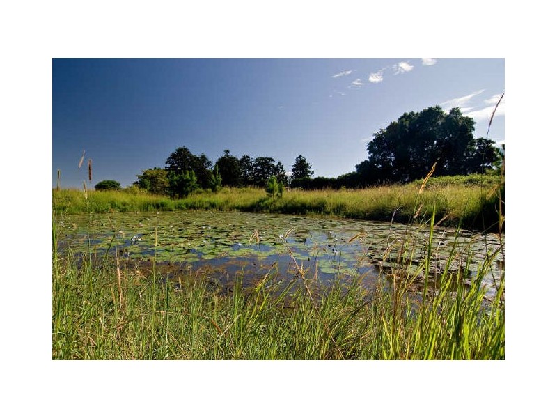 484. Gap Road, Alstonville NSW 2477