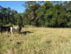 801 Wardell Road, Meerschaum Vale NSW 2477