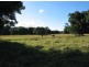 801 Wardell Road, Meerschaum Vale NSW 2477