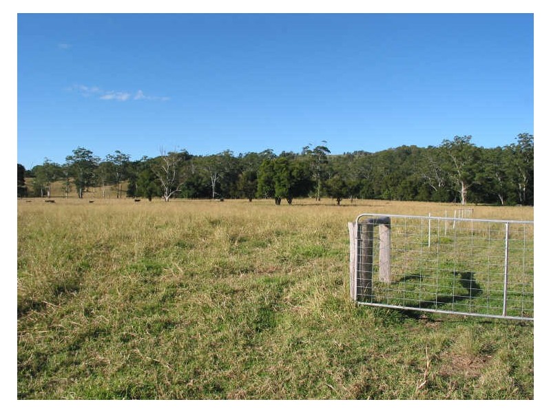 801 Wardell Road, Meerschaum Vale NSW 2477