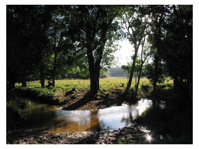 801 Wardell Road, Meerschaum Vale NSW 2477
