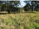 801 Wardell Road, Meerschaum Vale NSW 2477