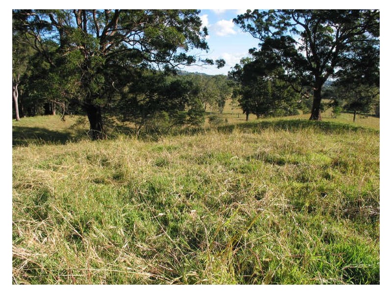 801 Wardell Road, Meerschaum Vale NSW 2477