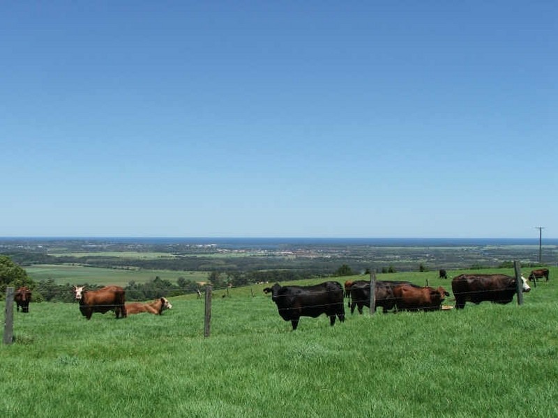 Lot 3/171 Leadbeatters Lane, Alstonville NSW 2477