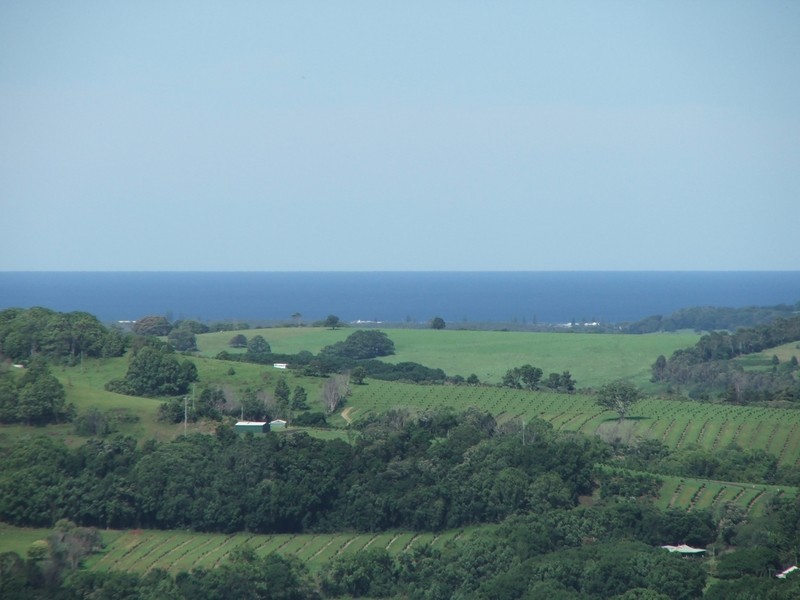 Lot 4/171 Leadbeatters Lane, Alstonville NSW 2477