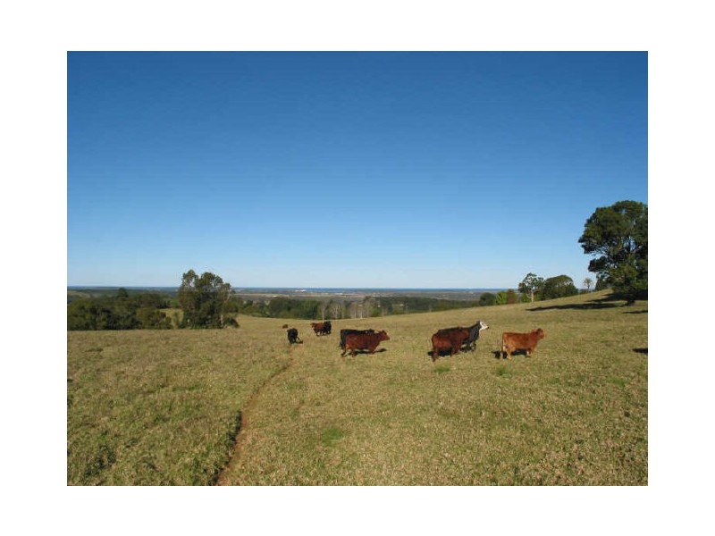 Lot 4/171 Leadbeatters Lane, Alstonville NSW 2477