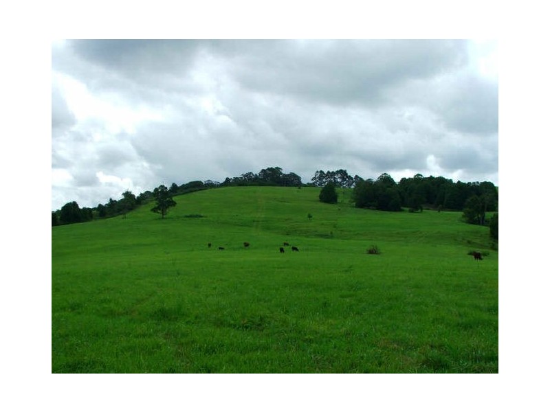 Lot 4/171 Leadbeatters Lane, Alstonville NSW 2477