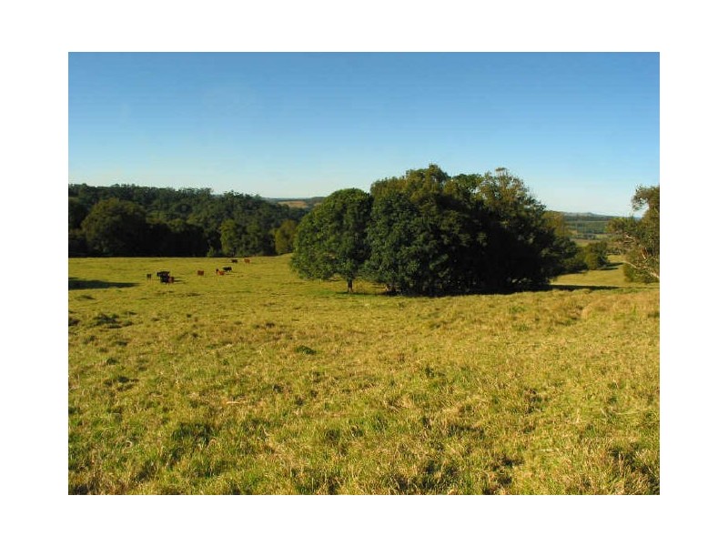 Lot 4/171 Leadbeatters Lane, Alstonville NSW 2477